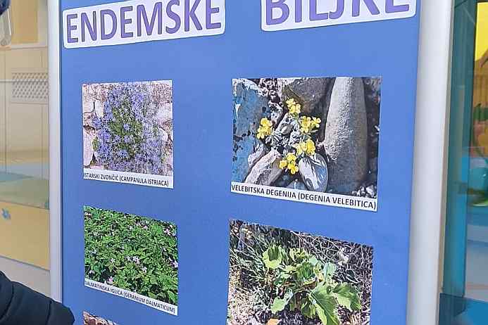 Hrvatske endemske biljke