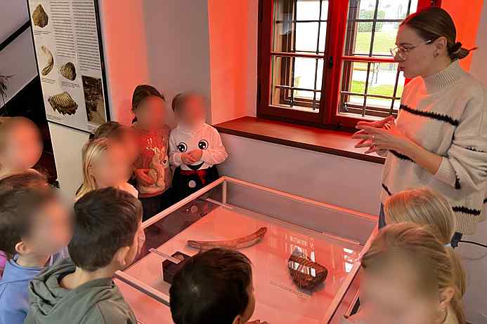 Posjet muzeju i izložbi