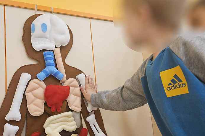 Svjetski dan zdravlja